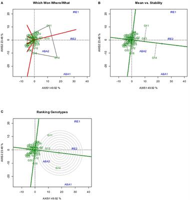 Genotype × Environment Interaction and Stability Analysis for Root Yield in Sweet Potato [Ipomoea batatas (L.) Lam]